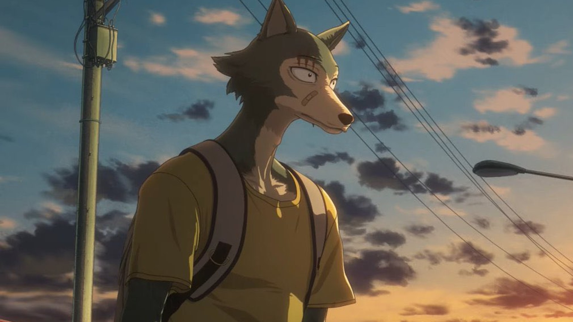 The anthropomorphic wolf Legoshi in Beastars.