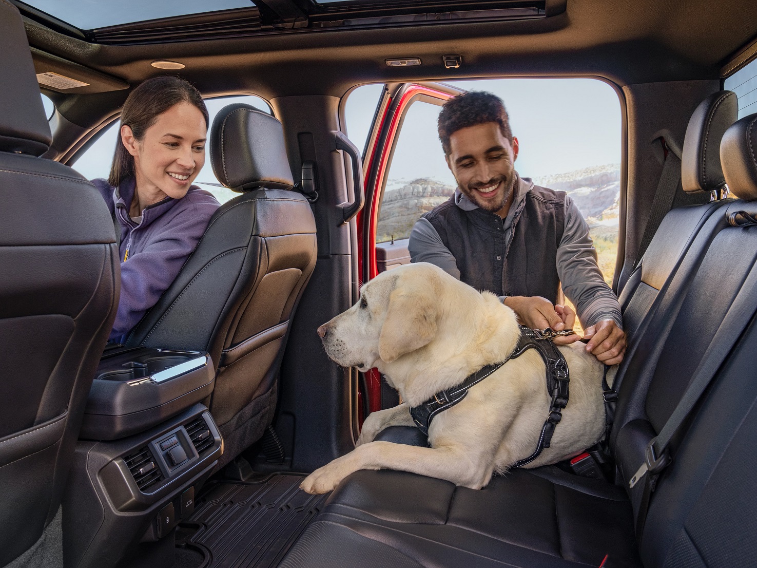 Acessórios Ford que aceitam animais de estimação são ótimos presentes de Natal