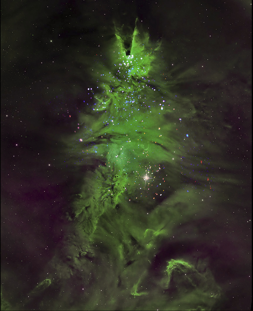 NGC 2264, le « groupe d'arbres de Noël »