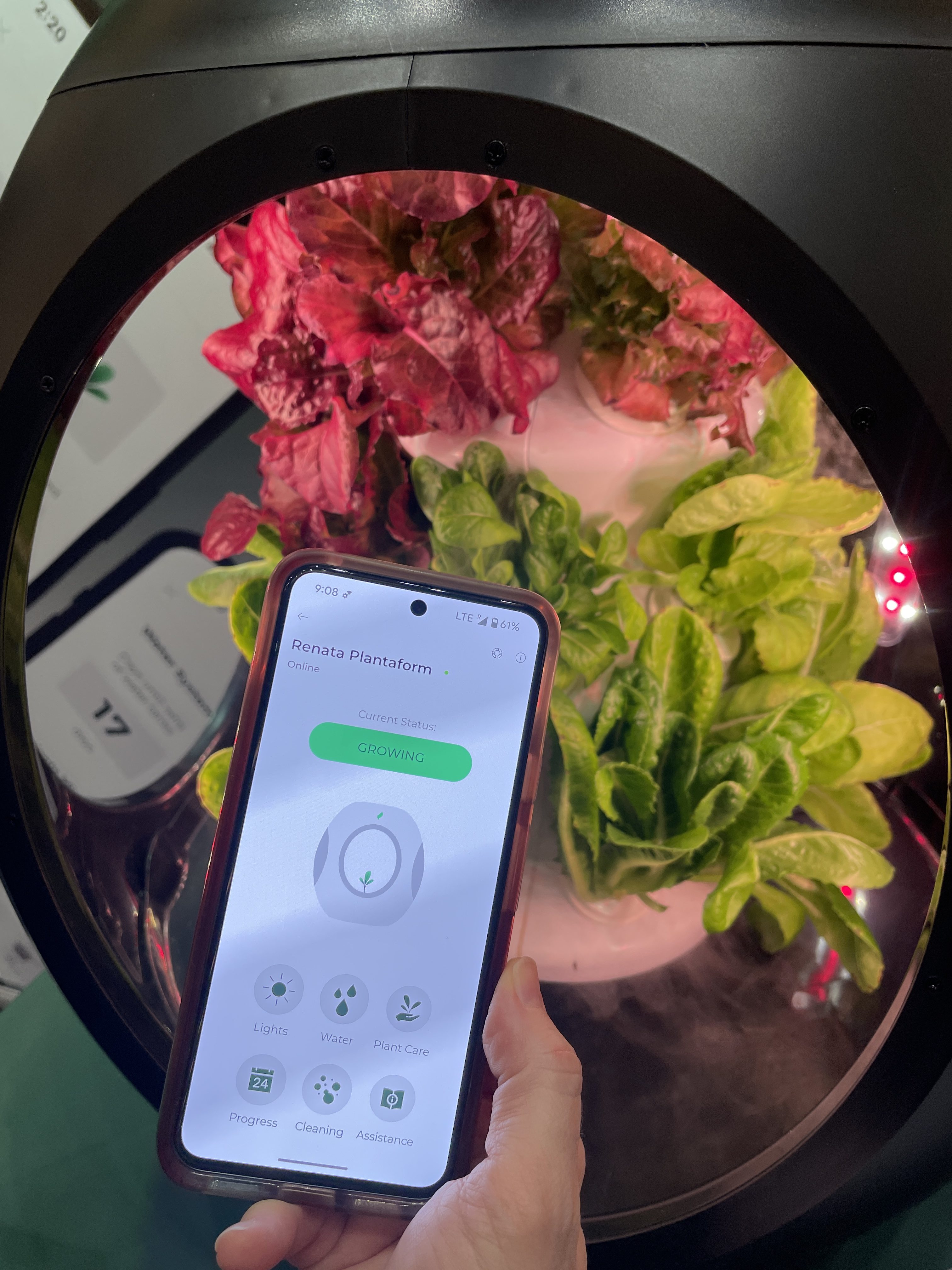 O PlantaForm Smart Garden e seu aplicativo.