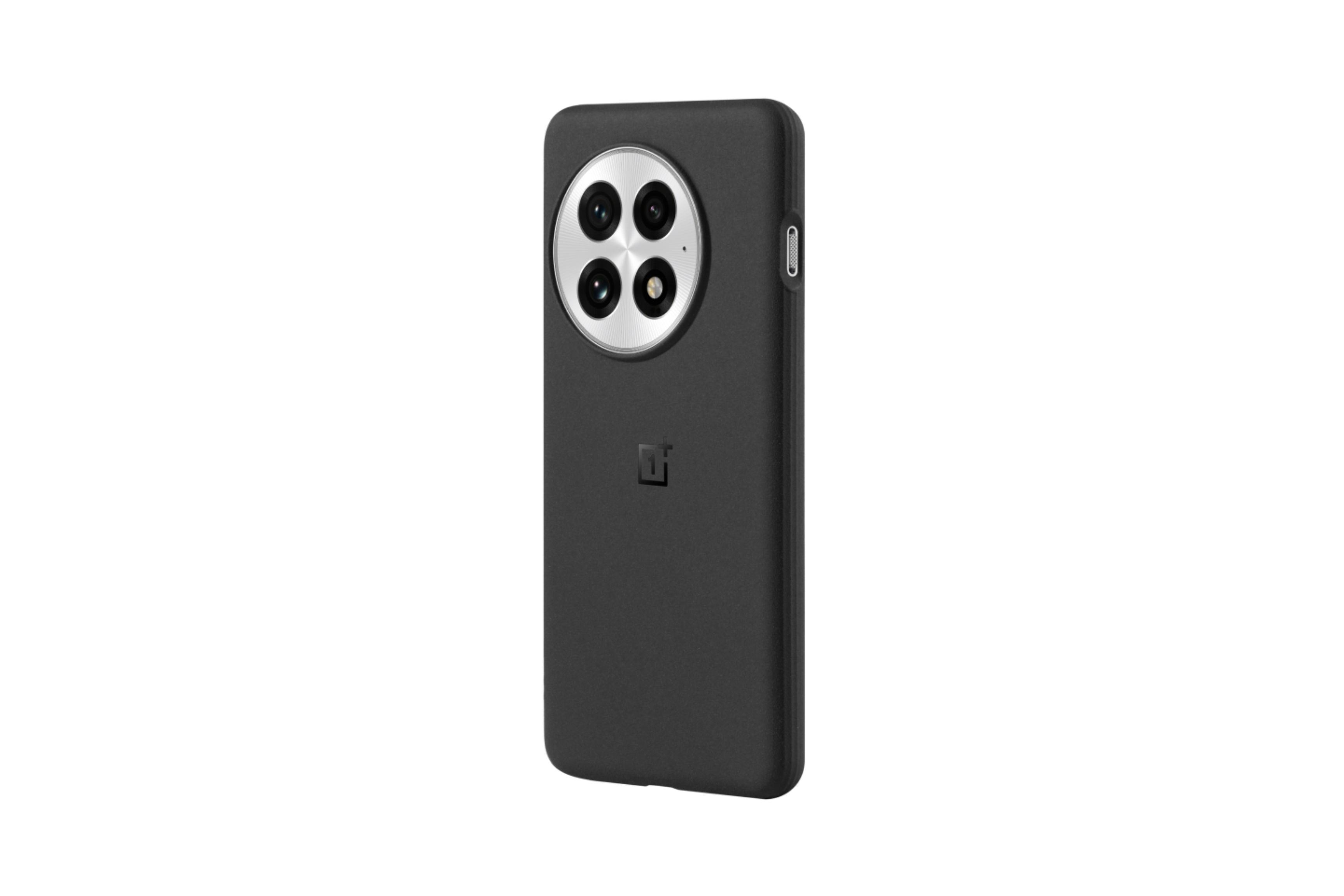 The official OnePlus 13R case.