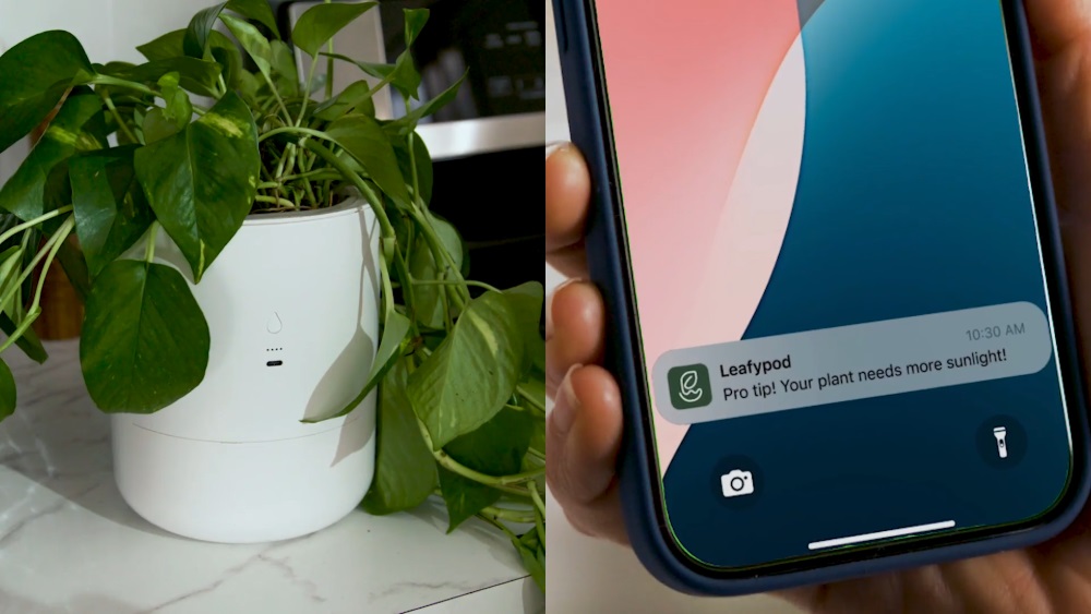 LeafyPod neben der mobilen App.