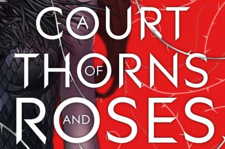 The ‘A Court of Thorns and Roses’ Hulu series is officially dead