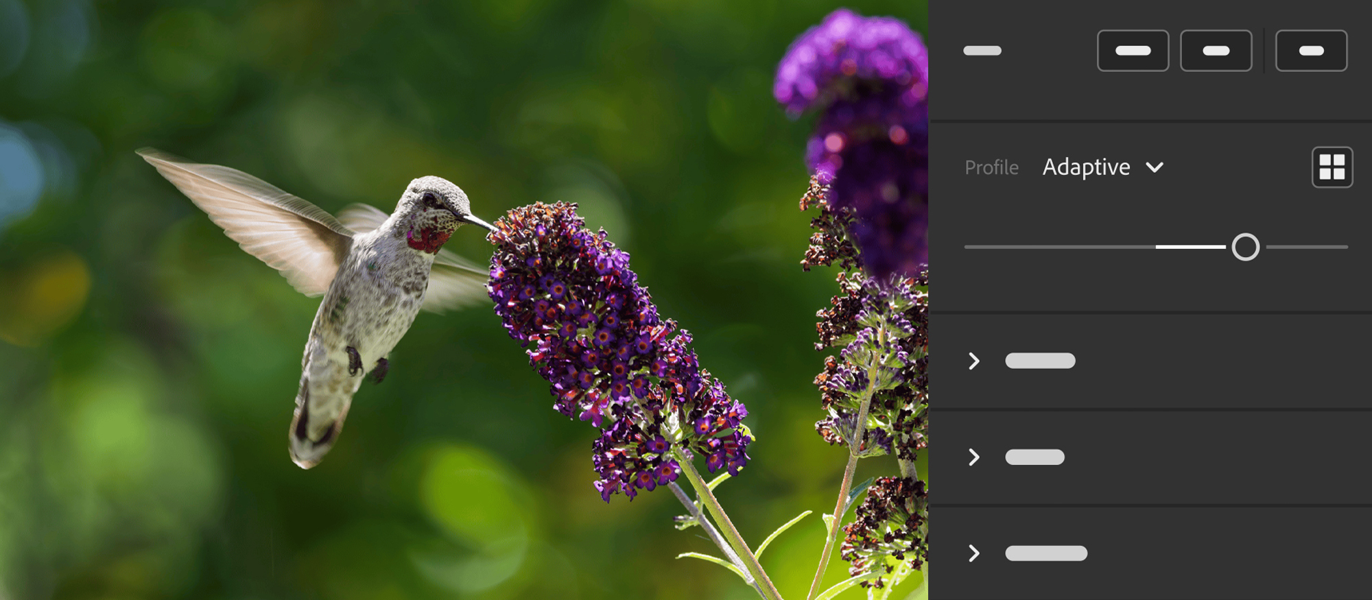 Profils adaptatifs dans Adobe Lightroom