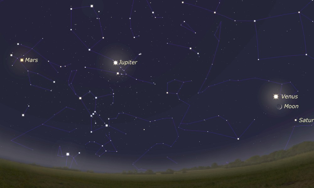 Venus, Mars, Jupiter and Saturn will all light up the night sky alongside the Moon during National Astronomy Week from 1-9 February 2025.