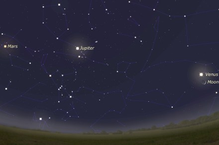 How to view a rare astronomical phenomenon on Friday