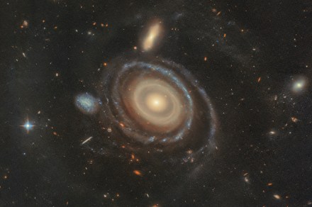 Hubble spots a cosmic bullseye: a galaxy with nine rings