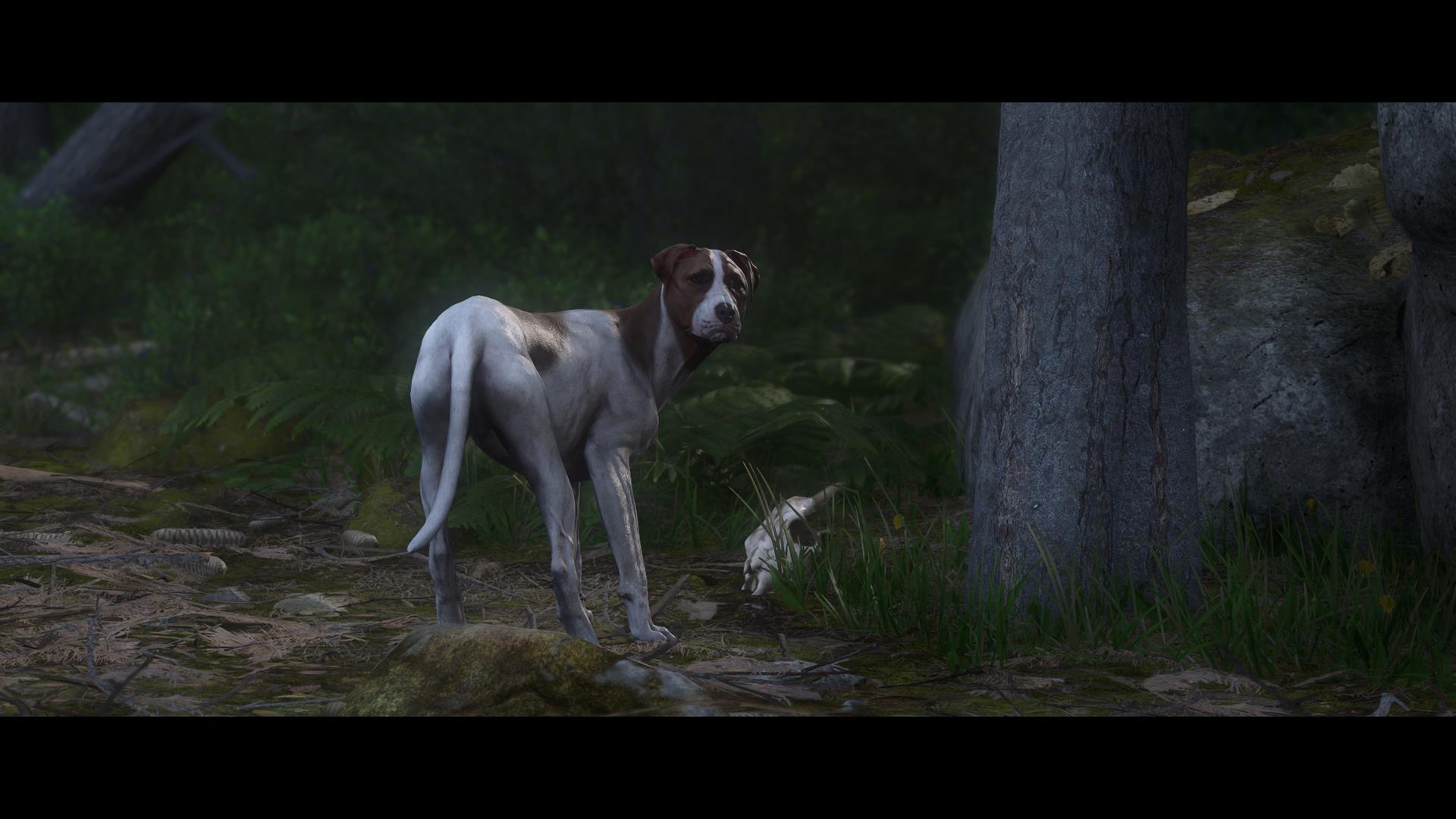 The player has found their long-lost dog, Mutt.