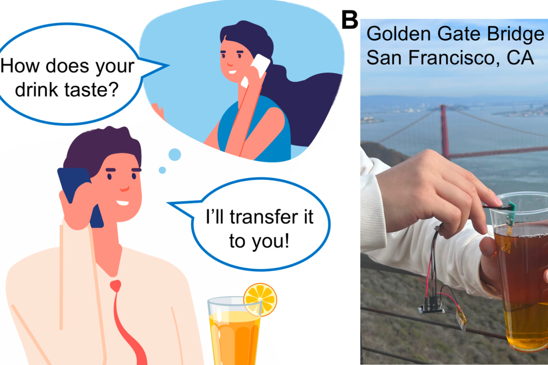 Schematic representation of the e-Taste sensor kit.