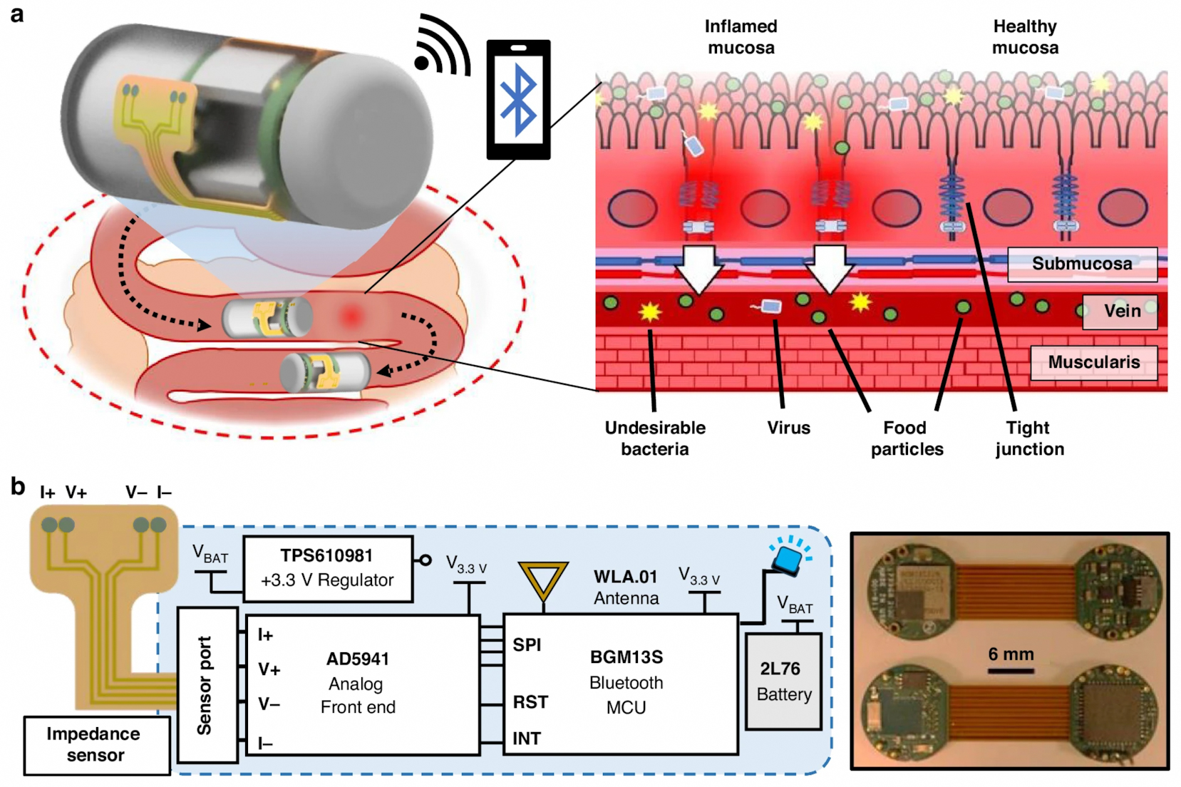 A capsule for monitoring health of gut.