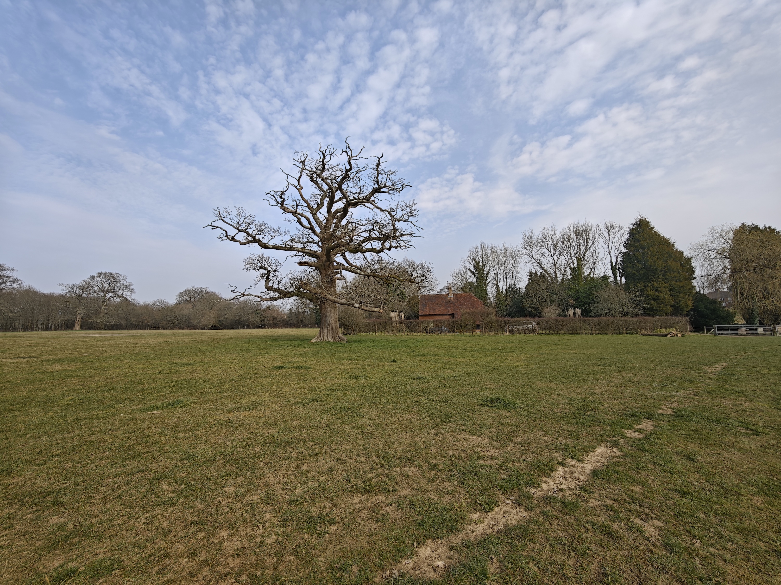 A wide-angle photo taken with the Xiaomi 15 Ultra.